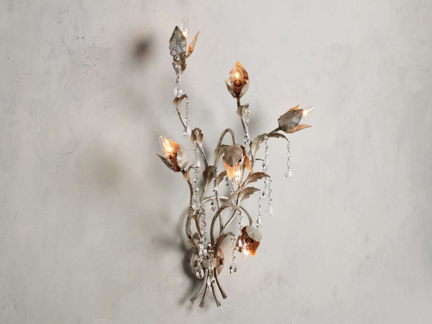 Viticcio 6-Light Wall Sconce